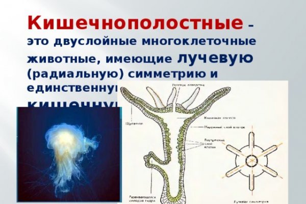 Гидра и кракен
