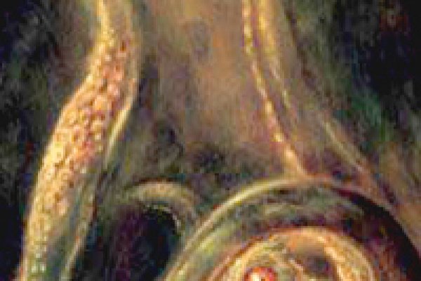 Kraken ссылка kraken link24 info