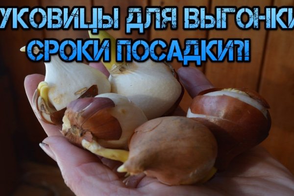 Как зайти на кракен