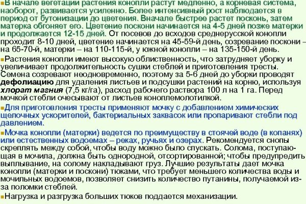Kraken market ссылка
