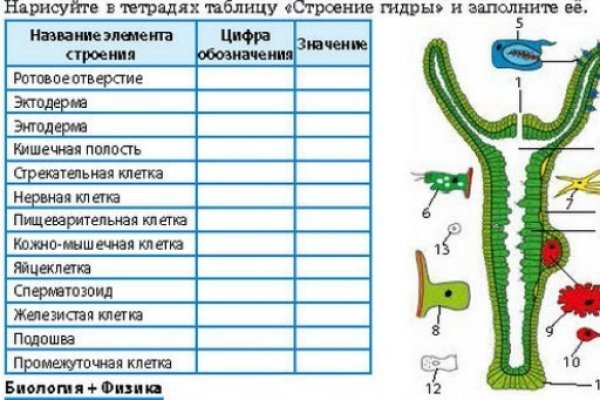 Как зайти на кракен с телефона андроид